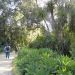image A_Walk_Through_Lotusland_Montecito_CA_7-24-10(A)_5488_.jpg