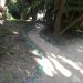 image A_Walk_Through_Lotusland_Montecito_CA_7-24-10(A)_5517_Recylced_Sparklett's_Bottles_on_Pathway.jpg