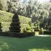 image A_Walk_Through_Lotusland_Montecito_CA_7-24-10(B)_5603_Topiary.jpg