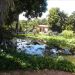 image A_Walk_Through_Lotusland_Montecito_CA_7-24-10(D)_5728_Water_Lilies_and_Lotus.jpg