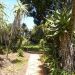 image A_Walk_Through_Lotusland_Montecito_CA_7-24-10(D)_5753_.jpg