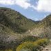 image Anza-Borrego_Wildflowers_584_Continuing_on_the_way_to_the_desert_floor.jpg
