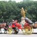 image Central_Park_New_York_City_7-27-08_3340_Carriages_at_Central_Park_Across_from_the_Plaza.jpg