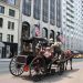 image Central_Park_New_York_City_7-27-08_3341_Another_Carriage.jpg