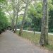 image Central_Park_New_York_City_7-27-08_3354_The_Ramble.jpg