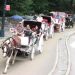 image Central_Park_New_York_City_7-27-08_3372_Four-Carriage_Parade_Coming_Out_of_the_Park.jpg