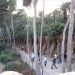 image Gaudi's_Parc_Guell_Barcelona_Oct._14_2006_2224_Path_Past_Trees_Off_the_Staircase.jpg