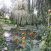 image Giverny_Water_Gardens_327_.jpg