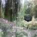 image Giverny_Water_Gardens_335_.jpg