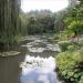 image Giverny_Water_Gardens_340_.jpg