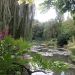 image Giverny_Water_Gardens_342_.jpg
