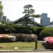 image Imperial_Palace_East_Garden_Tokyo_4-19-2009_3726_More_Azaleas.jpg