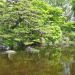 image Imperial_Palace_East_Garden_Tokyo_4-19-2009_3744_The_East_Garden.jpg