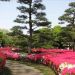 image Imperial_Palace_East_Garden_Tokyo_4-19-2009_3747_The_East_Garden-Back_to_the_Fabulous_Azaleas.jpg