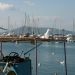 image Island_of_Aegina_Greece_1206_Seagulls.jpg
