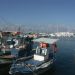 image Island_of_Aegina_Greece_1207_Fishing_Boats.jpg