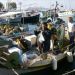 image Island_of_Aegina_Greece_1208_Seven_Euros_for_a_Bag_of_Fish.jpg