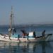 image Island_of_Spetses_Greece_1294_Fishing_Boat.jpg