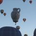image Mass_Ascension-1_Balloon_Fiesta_Oct._13_'07_2757_.jpg