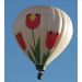 image Mass_Ascension-1_Balloon_Fiesta_Oct._13_'07_2816_.jpg