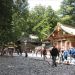 image Nikko_Toshogu_Shrine_Nikko_Japan_4-23-09_4297_Walking_Past_the_Gate.jpg