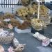 image Old_City_of_Rhodes_1120_Outside_the_Walls-Sponges_and_Shells.jpg