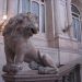 image Palacio_Real_Madrid_Spain_Oct._7_2006_1635_A_lion_guarding_the_stairs.jpg
