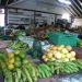 image Port_Elizabeth_Waterfront_Bequia_1302_Fruit_and_Vegetable_Market.jpg