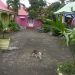 image St._Lawrence_Gap_Barbados_1458_Chattel_House_Village_Cat.jpg