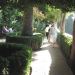 image The_Alhambra_Granada_Spain_Oct._11_2006_1862_Continuing_Our_Tour-Walking_Through_a_Garden.jpg