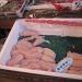image Tokyo_Central_Wholesale_Fish_Market_4-24-09_4415_.jpg
