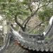 image Yu_Gardens_Shanghai_China_2-13-10_4944_Decorative_Roofs.jpg