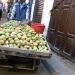 image Fes_el-Bali_Medina_Fez_Morocco-1_10-'10_Cactus_pears_5929.jpg