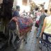 image Fes_el-Bali_Medina_Fez_Morocco-1_10-'10_Donkey_photo-op_5932.jpg