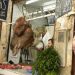 image Fes_el-Bali_Medina_Fez_Morocco-1_10-'10_Yes_that's_the_head_of_a_camel_5924.jpg