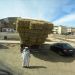 image Morocco_Fez_to_Erfoud_10'10_6074_Load_of_Hay.jpg